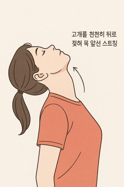 목 앞 뒤 스트레칭.png